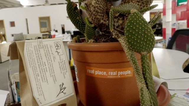 Foto: Katharina Dippold